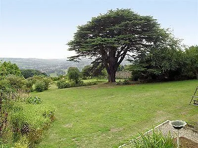 The Garden